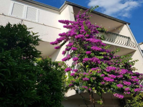 Apartmani Sonja